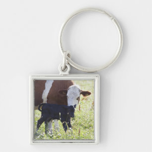 Kuh und Kalb Schlüsselanhänger