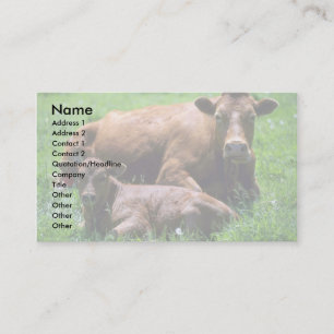 Kuh und Kalb Visitenkarte