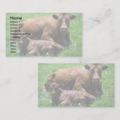 Kuh und Kalb Visitenkarte (Vorne/Hinten)