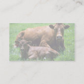 Kuh und Kalb Visitenkarte (Rückseite)