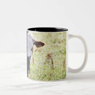 Kuh und Kalb Zweifarbige Tasse