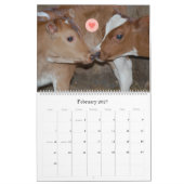Kuh- und Kalbskalender aus Chase's Bio Milchkalend Kalender (Feb 2027)
