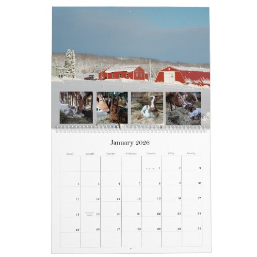 Kuh- und Kalbskalender aus Chase's Bio Milchkalend Kalender (Jan 2026)