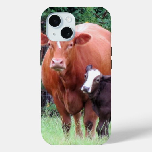 Kuh- und Kalbsphon Case-Mate iPhone Hülle (Rückseite)