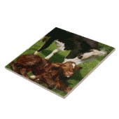 Kuh und neugeborenes Kalb Fliese (Seite)