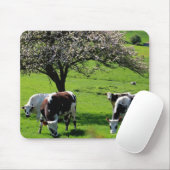 Kuh unter blühenden Apfelbäumen in der Normandie Mousepad (Mit Mouse)