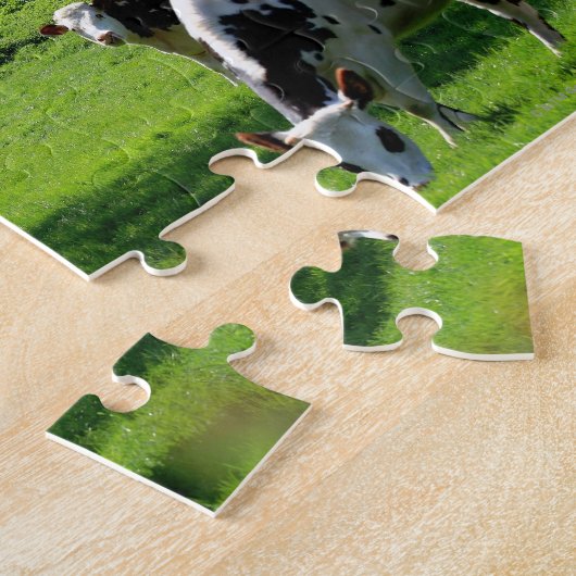 Kuh unter blühenden Apfelbäumen in der Normandie Puzzle (Seite)