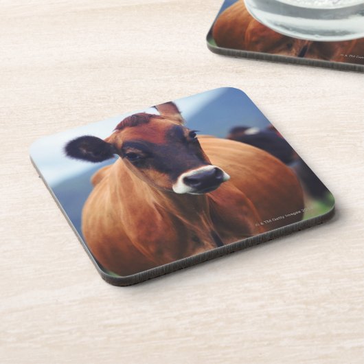 Kuh Untersetzer (Linke Seite)