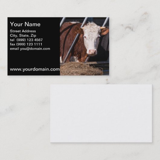 Kuh-Visitenkarte Visitenkarte (Vorne/Hinten)