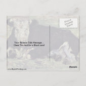 Kuh von Vincent Van Gogh lügen. Postkarte (Rückseite)