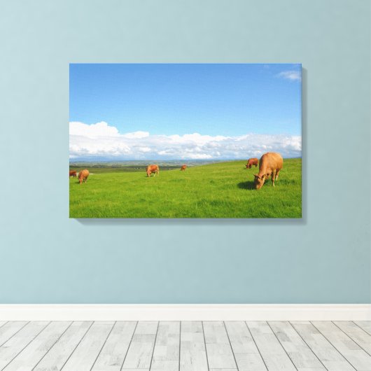 Kuh weidet auf einer Wiese in Irland Leinwand (Insitu (Holzboden))
