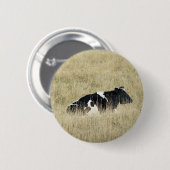 Kuh wiederherstellen - Schaltfläche Button (Vorne & Hinten)
