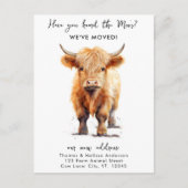 Kuh, wir haben neue Adresse Hochland Kalb bewegen Ankündigungspostkarte (Vorderseite)