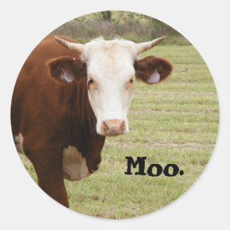 Kuhaufkleber: "Moo." Runder Aufkleber