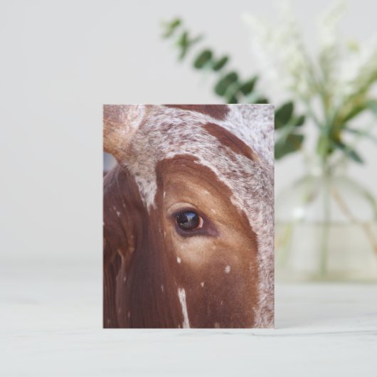 Kuhauge Postkarte (Stehend Vorderseite)