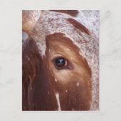 Kuhauge Postkarte (Vorderseite)