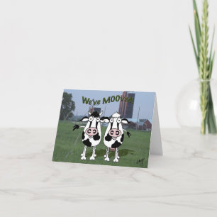 Kuhbulle hat neue Adressenankündigung verschoben. Ankündigung