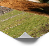 Kuhdruck Poster (Ecke)