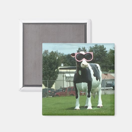 Kühe 1 magnet (Vorderseite/Rückseite)