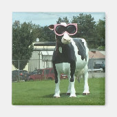 Kühe 1 magnet (Vorne)