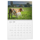 Kühe 2027 Kalender (Mär 2027)
