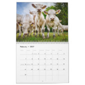 Kühe 2027 Kalender (Feb 2027)