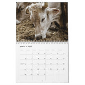Kühe 2027 Kalender (Mär 2027)