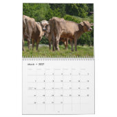 Kühe 2027 Kalender (Mär 2027)