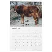 Kühe 2027 Kalender (Jan 2027)