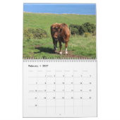 Kühe 2027 Kalender (Feb 2027)