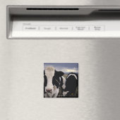 Kühe 3 magnet (In Situ (Geschirrspüler))