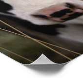 Kühe 3 poster (Ecke)