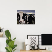 Kühe 3 poster (Heimbüro)