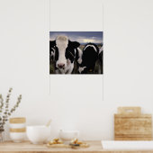 Kühe 3 poster (Küche)