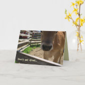 Kühe 50. Geburtstagskarte Karte (Gelbe Blume)