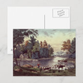 Kühe am Ufer eines Sees Postkarte (Vorne/Hinten)