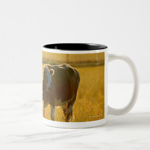 Kühe an der Weide Zweifarbige Tasse