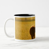 Kühe an der Weide Zweifarbige Tasse (Links)