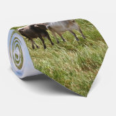 Kühe auf dem Gebiet Krawatte (Gerollt)