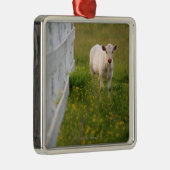 Kühe auf dem Gebiet Ornament Aus Metall (Rechts)