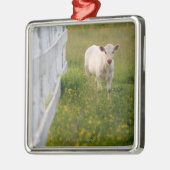 Kühe auf dem Gebiet Ornament Aus Metall (Links)