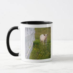 Kühe auf dem Gebiet Tasse