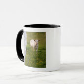 Kühe auf dem Gebiet Tasse (Vorderseite Links)