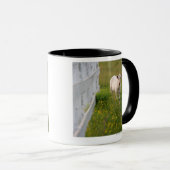 Kühe auf dem Gebiet Tasse (VorderseiteRechts)