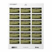 Kühe auf den Etiketten für die Anschrift der Weide Adressaufkleber (Vorne)