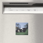 Kühe auf einer Weide Magnet (In Situ (Geschirrspüler))