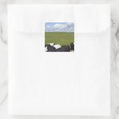 Kühe auf einer Weide Quadratischer Aufkleber (Tasche)