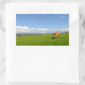 Kühe auf einer Wiese in Irland, rechteckig Rechteckiger Aufkleber (Tasche)
