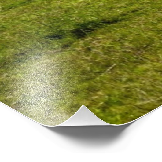 Kühe auf einer Wiese mit Leuchtturm Fotodruck (Ecke)