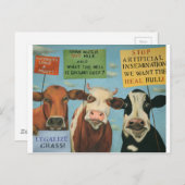 Kühe auf Streik Postkarte (Vorne/Hinten)